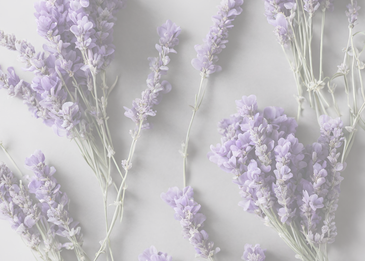 Luxe Lavender