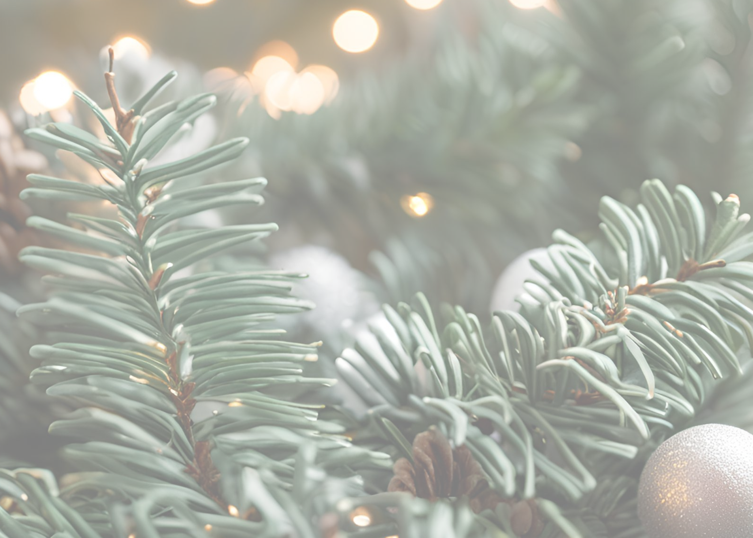 Christmas Pine