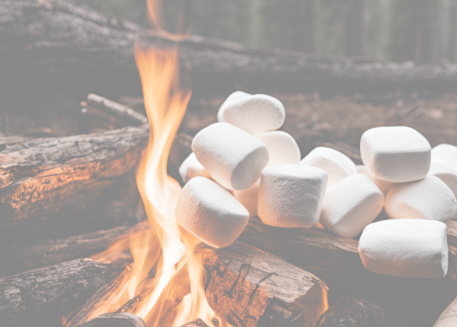 Campfire Serenade
