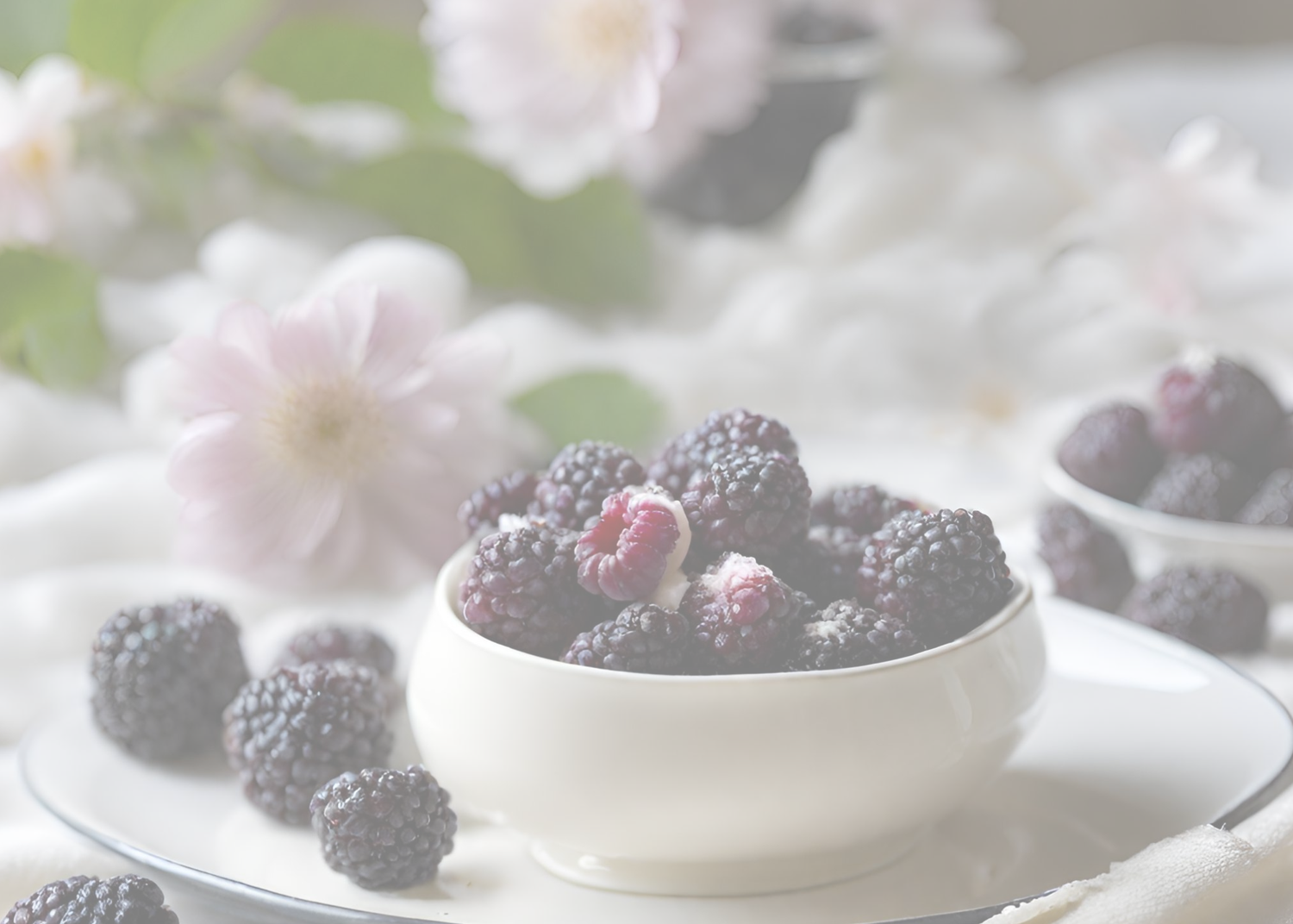 Raspberries & Vanilla