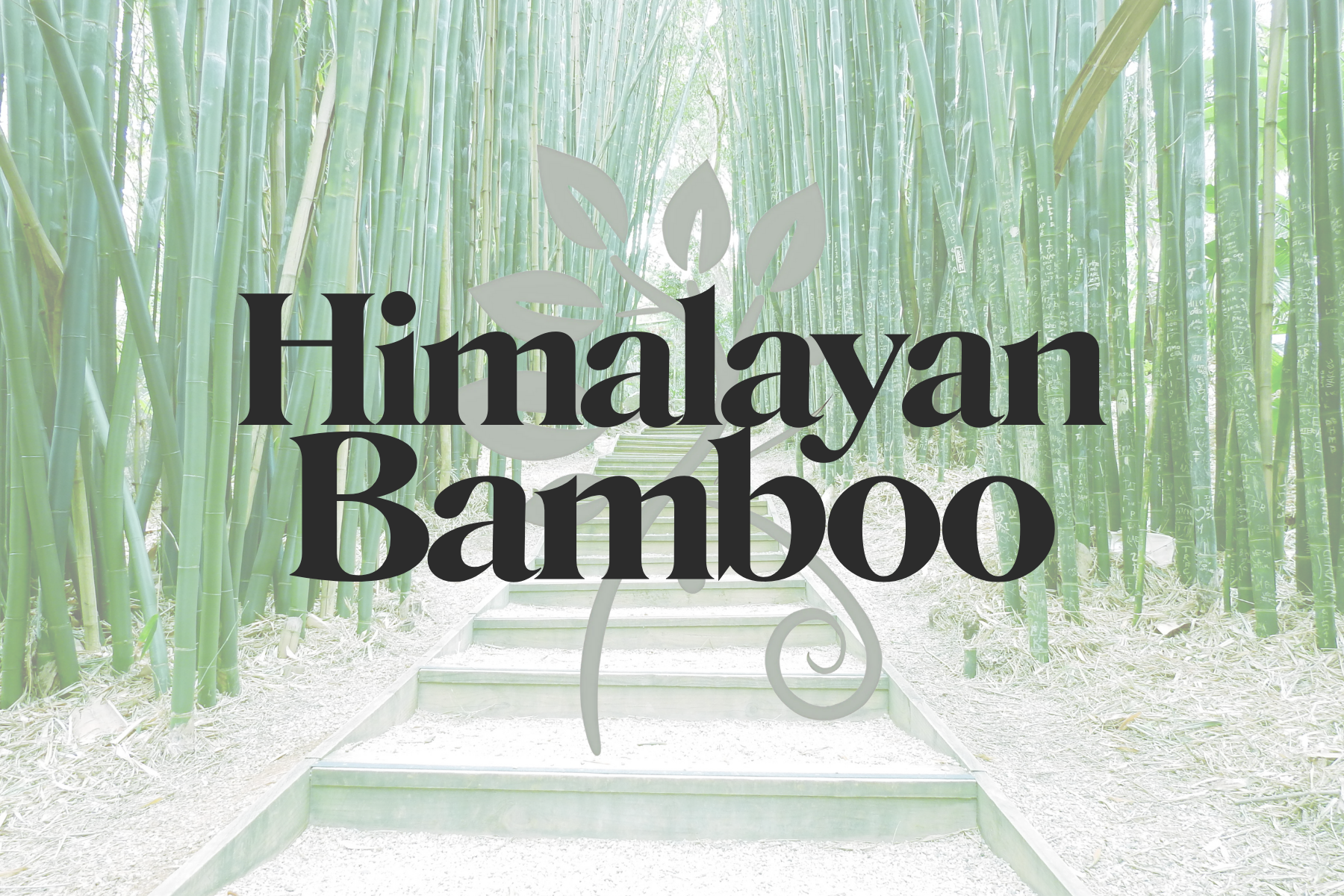 Himalayan Bamboo - Coconut Soy Wax Melt