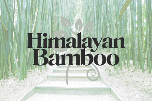 Himalayan Bamboo - Coconut Soy Wax Melt